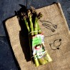 Asperge Verte - botte de 500g