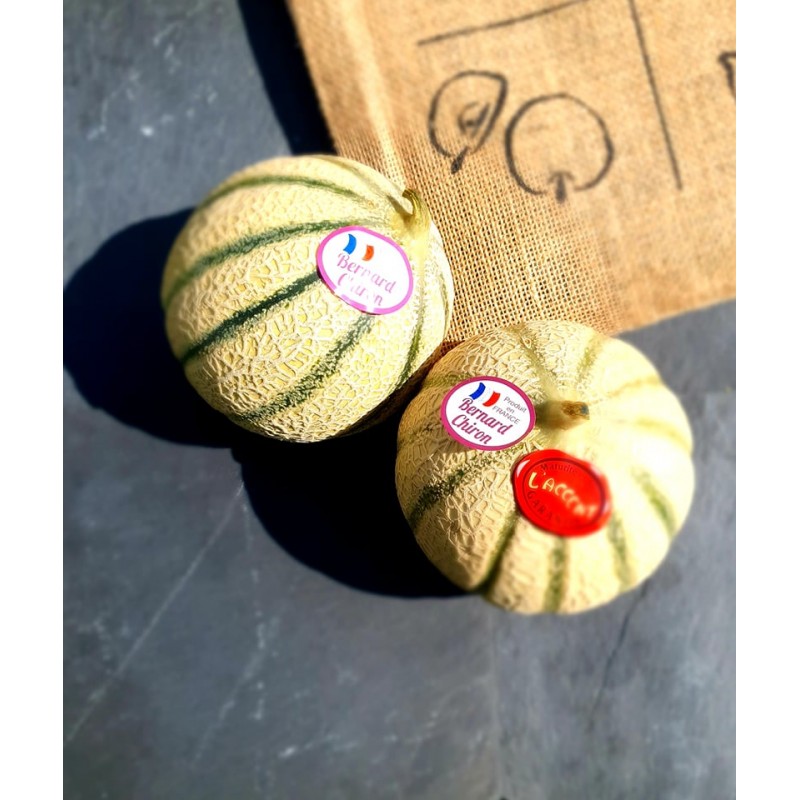 Melon - Pièce