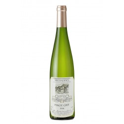 Pinot Gris (domaine...
