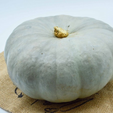 Courge Bleue de Hongrie - Pièce (2.50kg~)