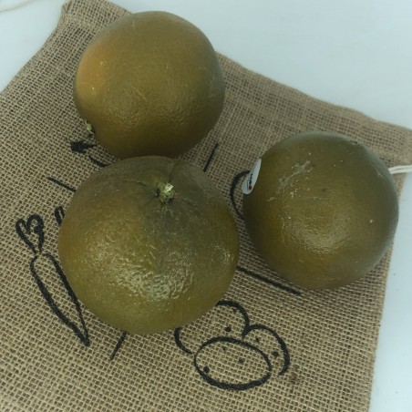 Orange "chocolat" - kg