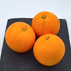 Orange Sanguine AB - Kg