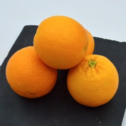 Orange Corse - Kg