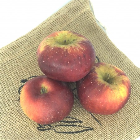 Pomme d'Alsace Elstar- kg