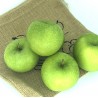 Pomme d'Alsace GRANNY SMITH - kg