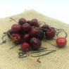 Cerise Alsace - 500g