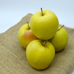 Pomme Alsace GOLDEN - kg