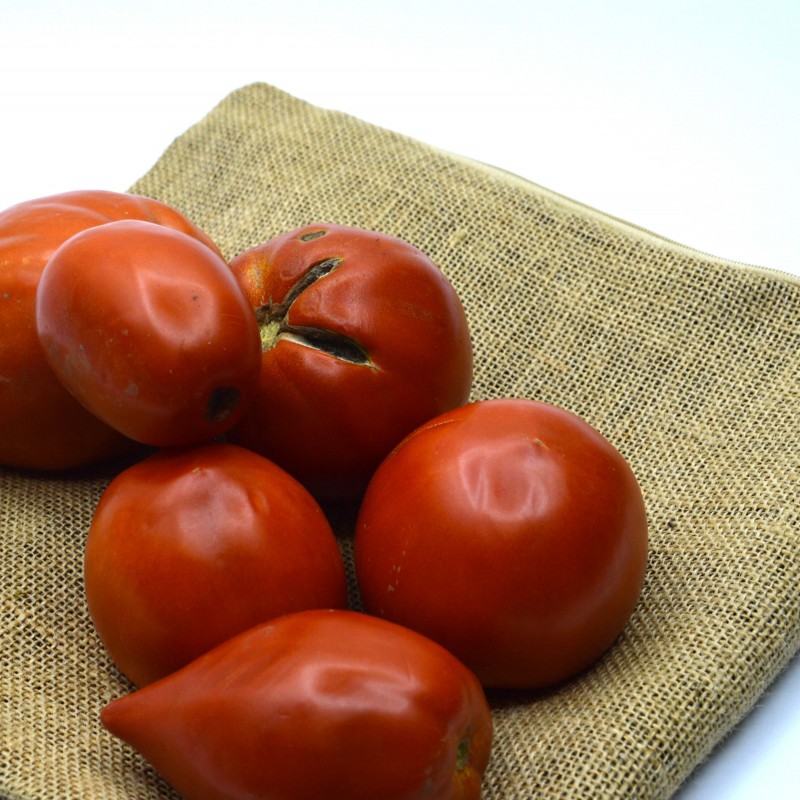 Tomate Sauce - 10kg (Mélange de variétés)