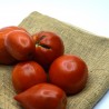 Tomate Sauce - 10kg (Mélange de variétés)
