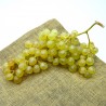 Raisin Blanc France - 500g