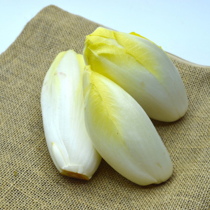 Endive - 500g