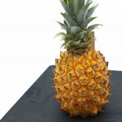 Ananas - Pièce