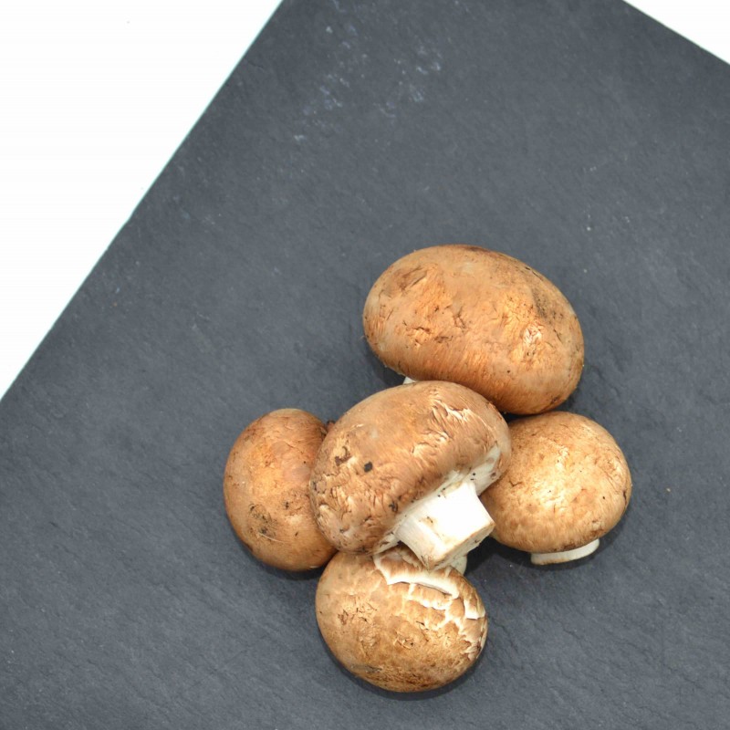Champignon de Paris Rosé - 500g
