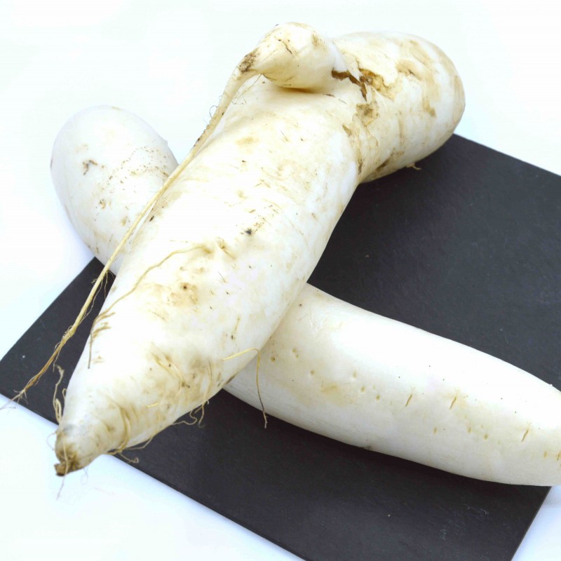 Radis Daikon - 500g