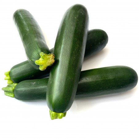 Courgette Verte - Pièce