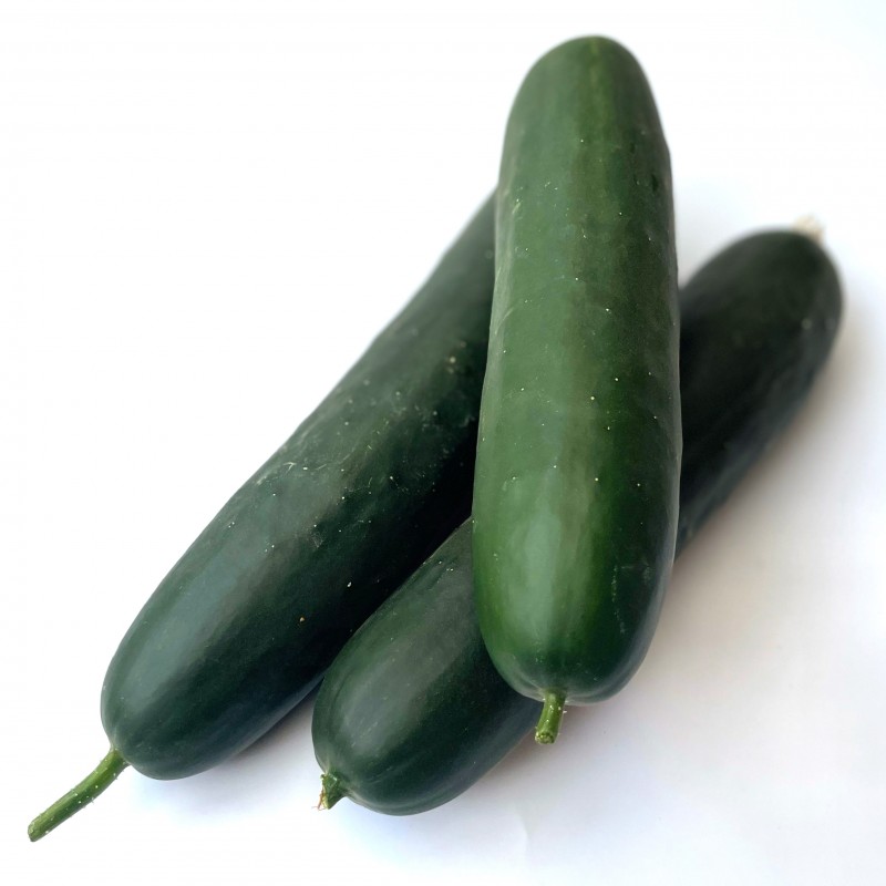 Concombre Noa - Pièce