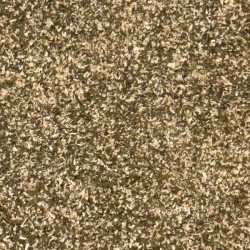 Assaisonnement pour frites