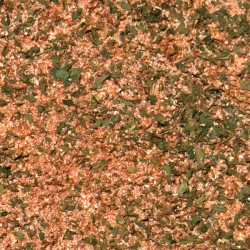 Country Potatoes - 50g