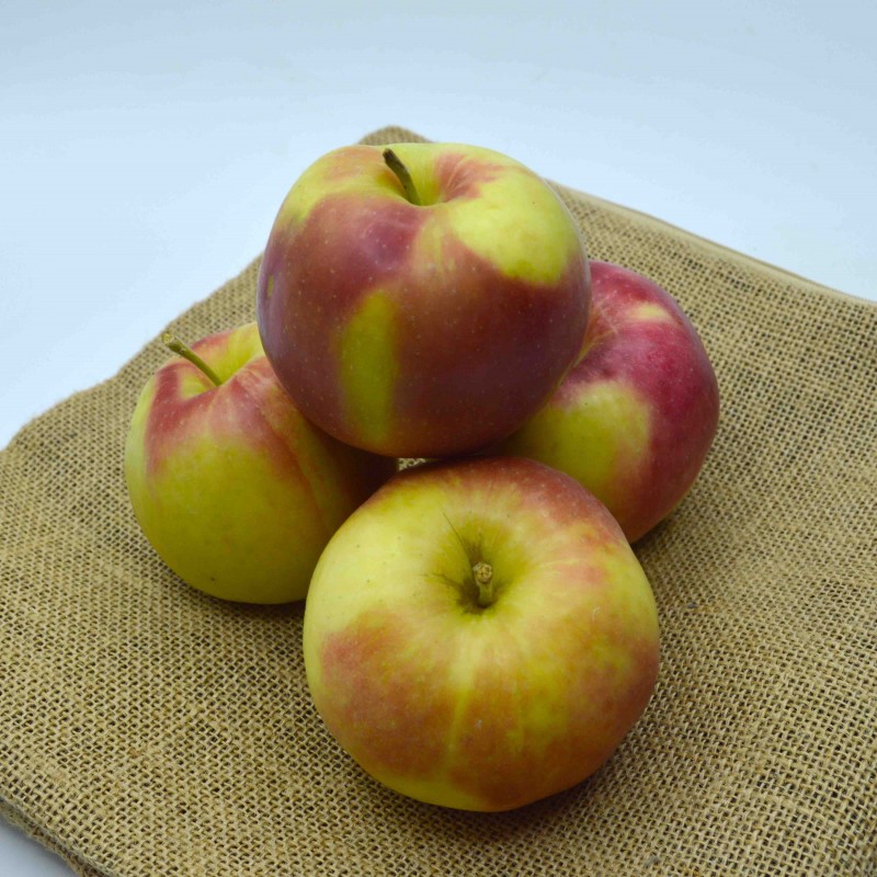 Pomme d'Alsace PINOVA - kg