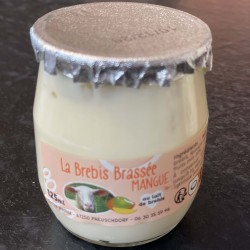 Yaourt de Brebis Mangue -...