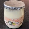 Yaourt de Brebis Mangue - Pièce
