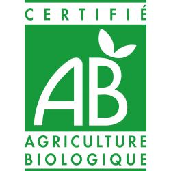 Pâte pour curry bio - 105g